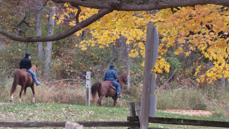 Two riders on horseback navigating a trail surrounded by autumn foliage and colorful leaves.