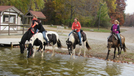 Four people riding horses near a body of water, with some horses drinking from the water. Trees with fall foliage in the background and a rustic building in the distance.