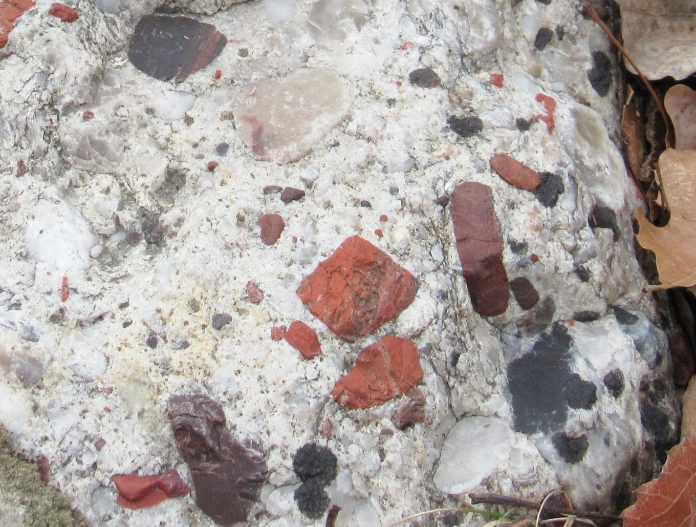 Close up image of the embedded minerals in the same pudding stone.