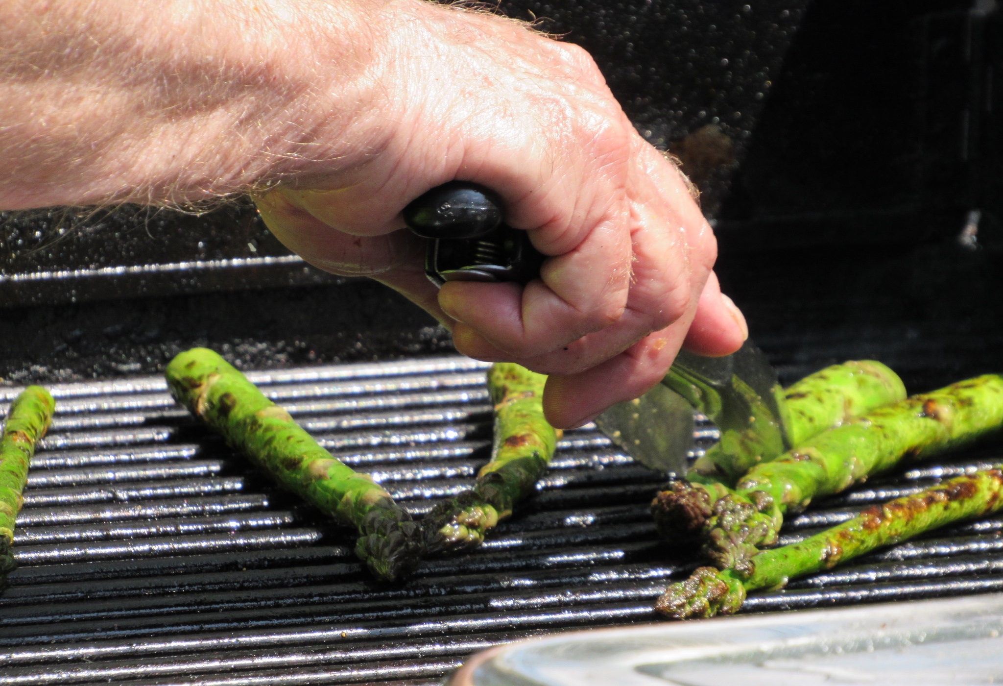Michigan’s Amazing Asparagus A Celebration of Green Spears from Empire