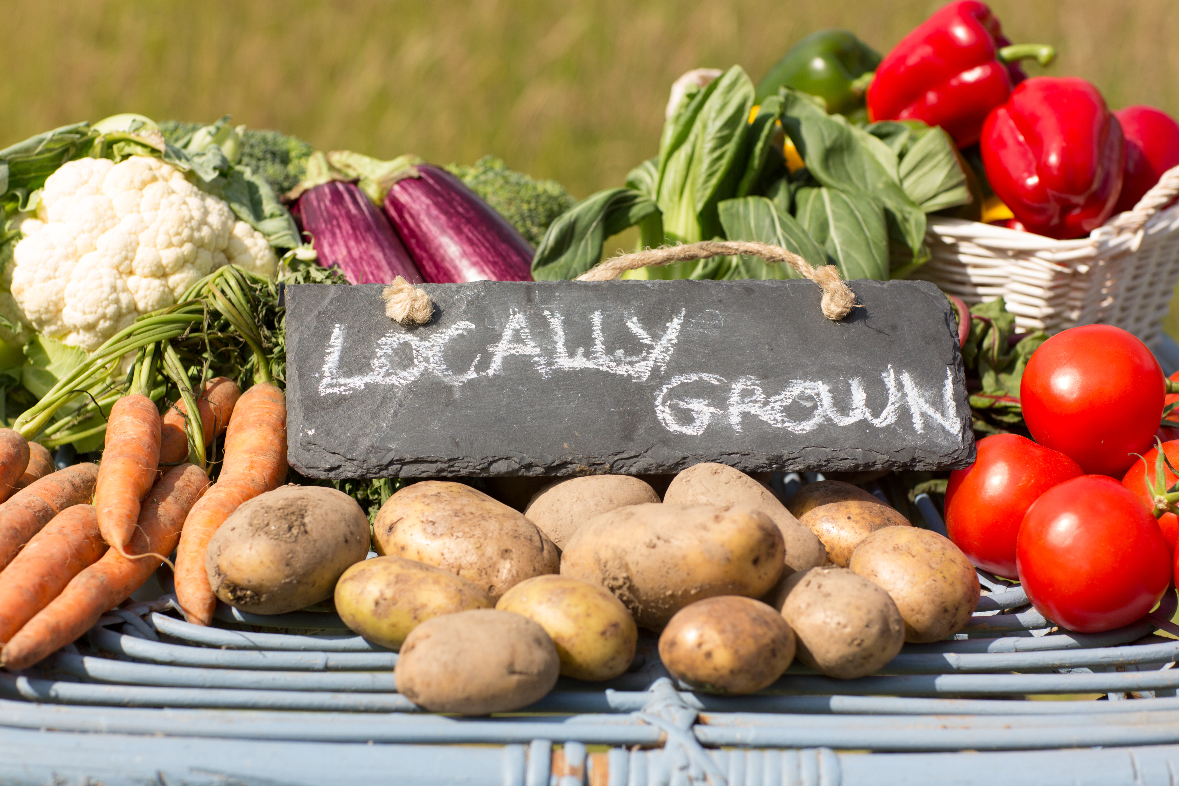 Get Farm Fresh Fare at Your Local Farmers Market – Oakland County Blog