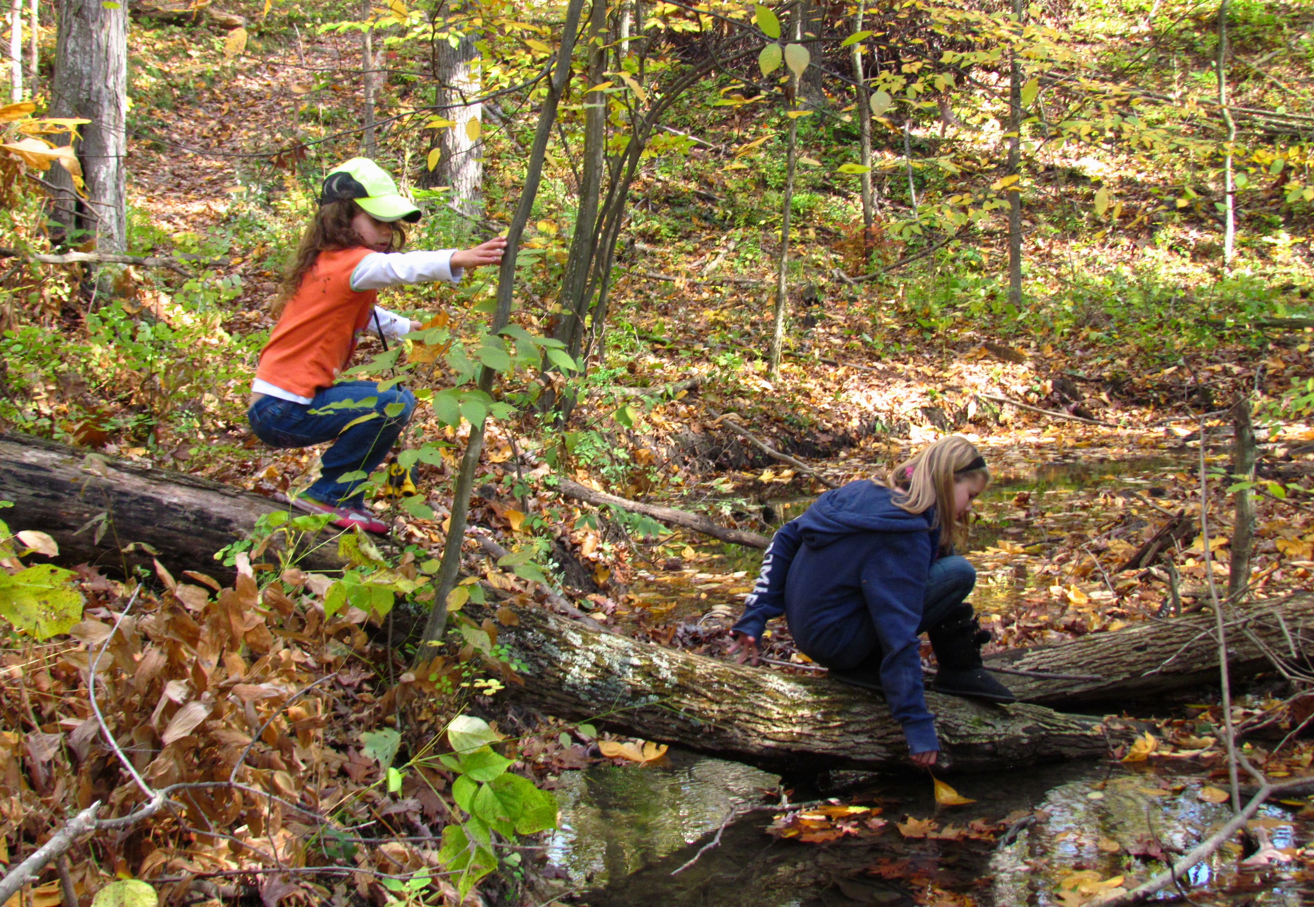 Two children explore the woods. One points across the way while the other sits on a log watching.