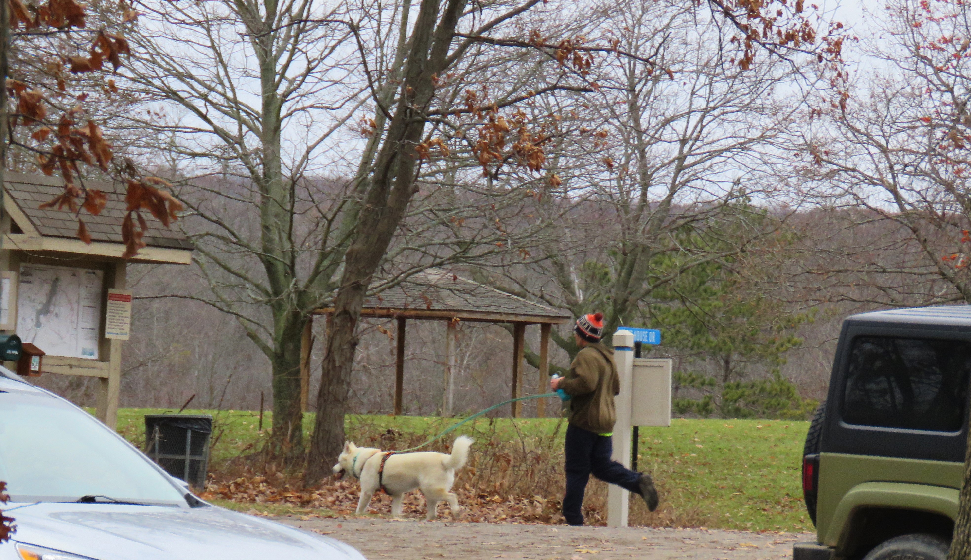 A man jogs behind his large dog who is on a leash at a park. A large sign with a map, a tree and gazebo are in front of them. 