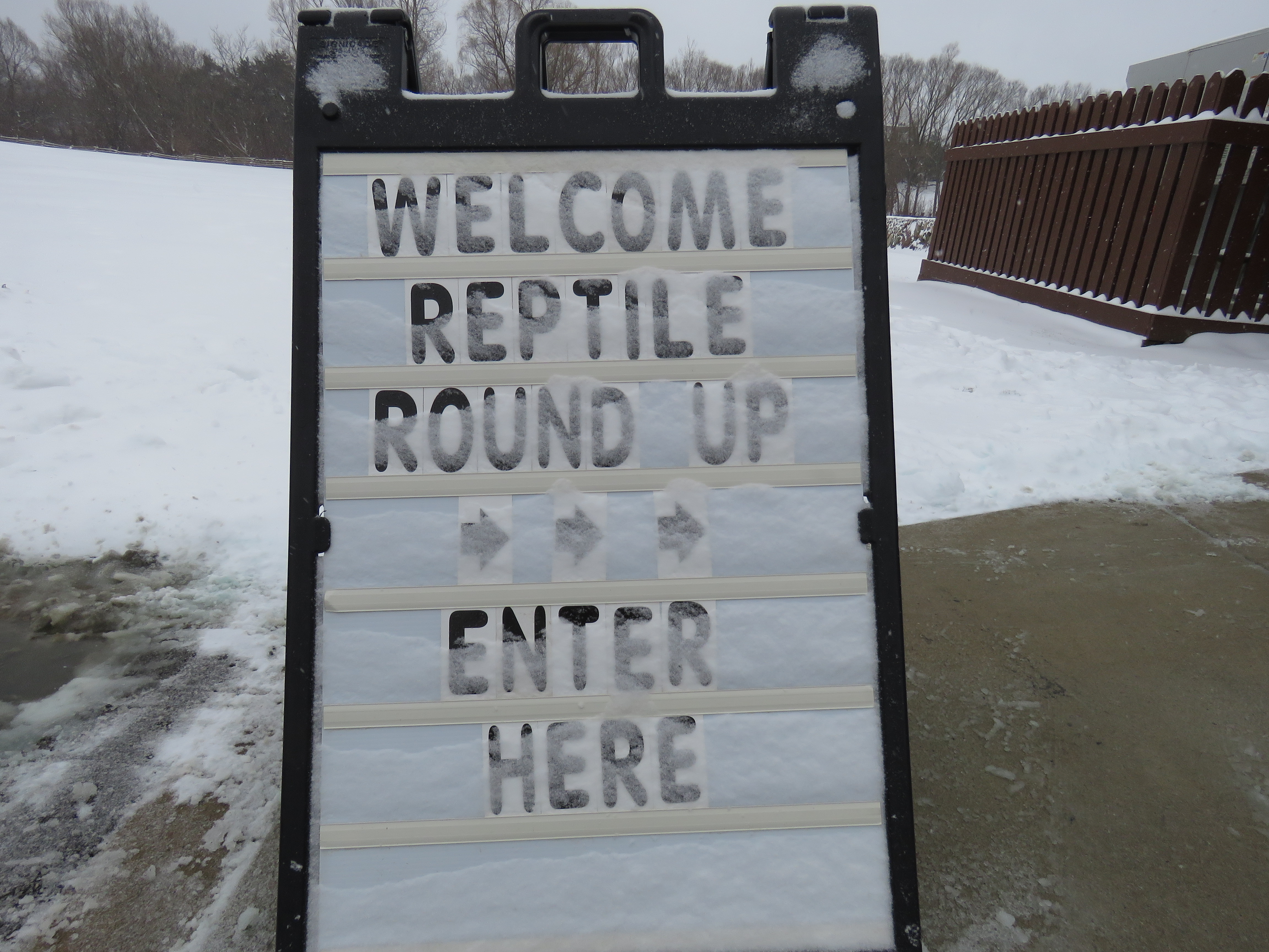 A snow covered sign that reads: Welcome Reptile Round Up >>> Enter Here