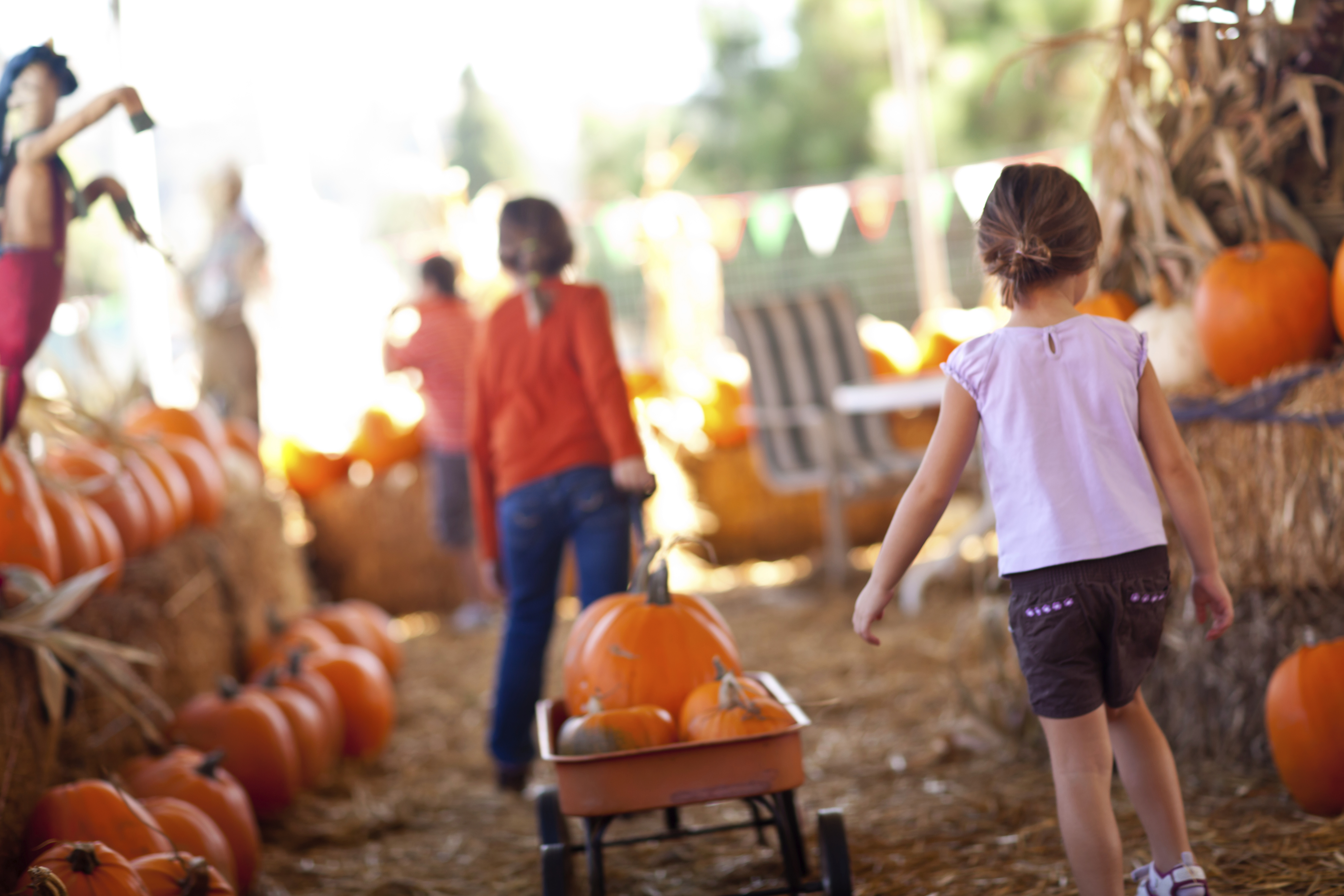 Little Girls Pulling Their Pumpkins In A Wagon