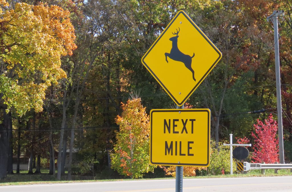 deer warning sign 