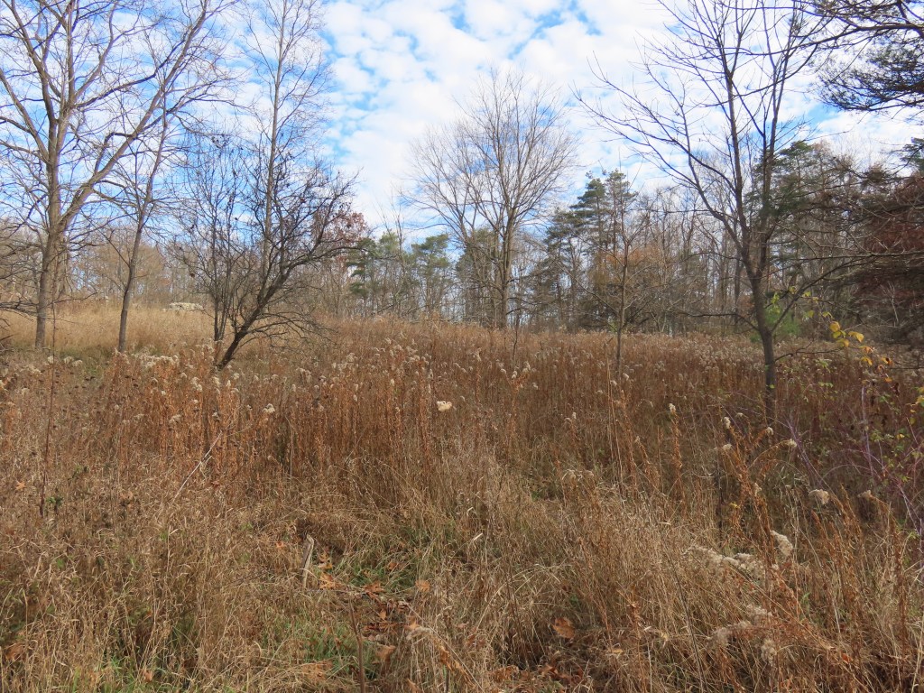 fallow field in fall