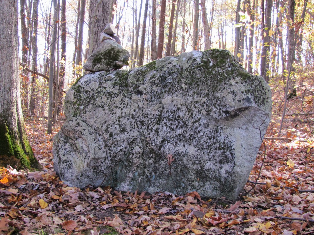boulder on fall leaves