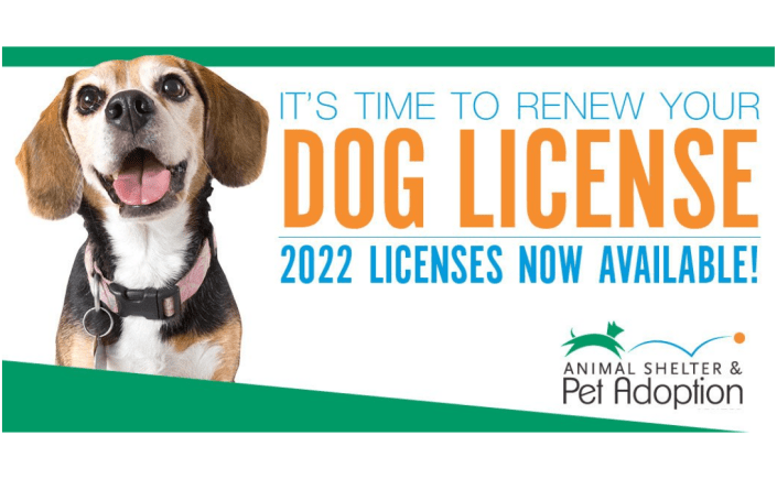 It's time to renew your dog license. 2022 licenses now available.