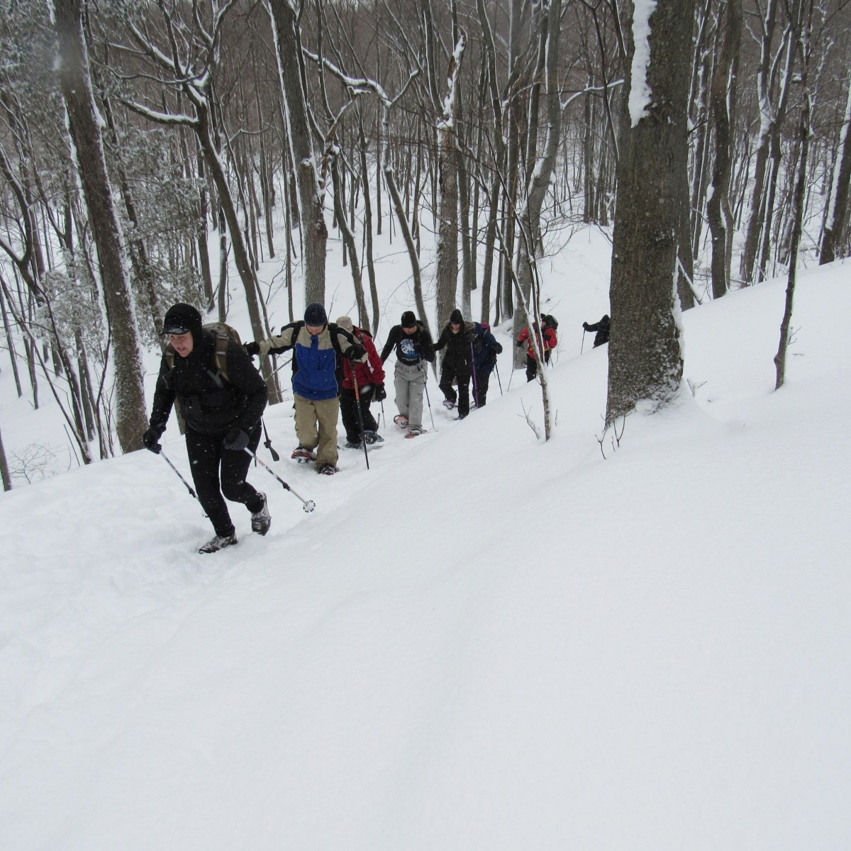 Group of hikers in the snow, climbing a hill