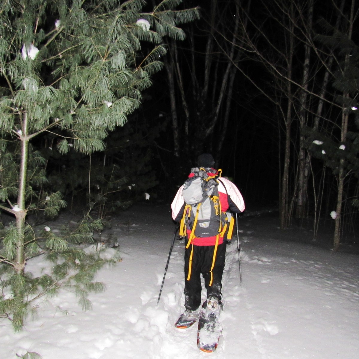 Snowshoe hiker in the dark in winter