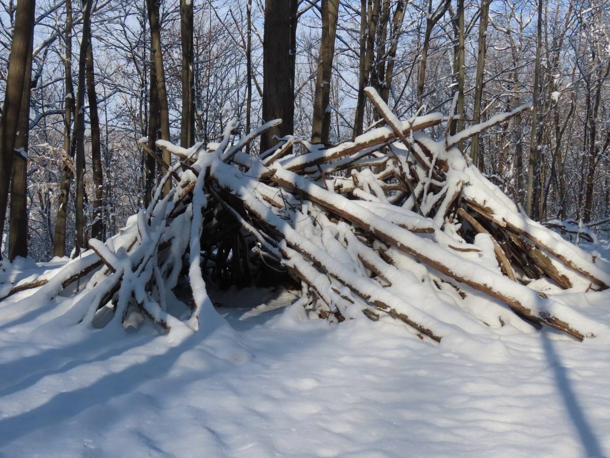 Snow-covered fort made of dead trees