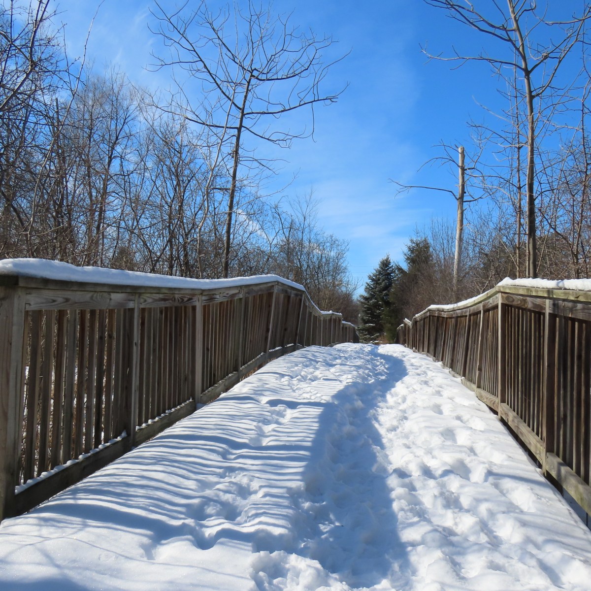 Snow-covered bridge at McLaren Clarkston Healing Garden