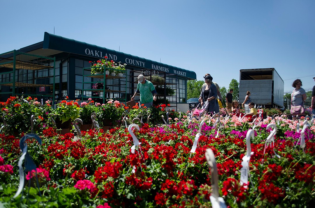 Shop Fresh and Stay Active at Oakland County Farmers Market Oakland