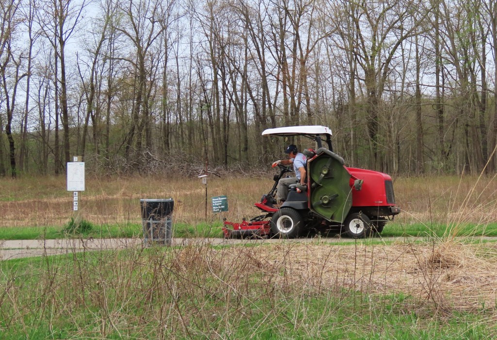 A worker using a red riding lawn mower to maintain a grassy area, with tall trees in the background and a trash bin nearby.