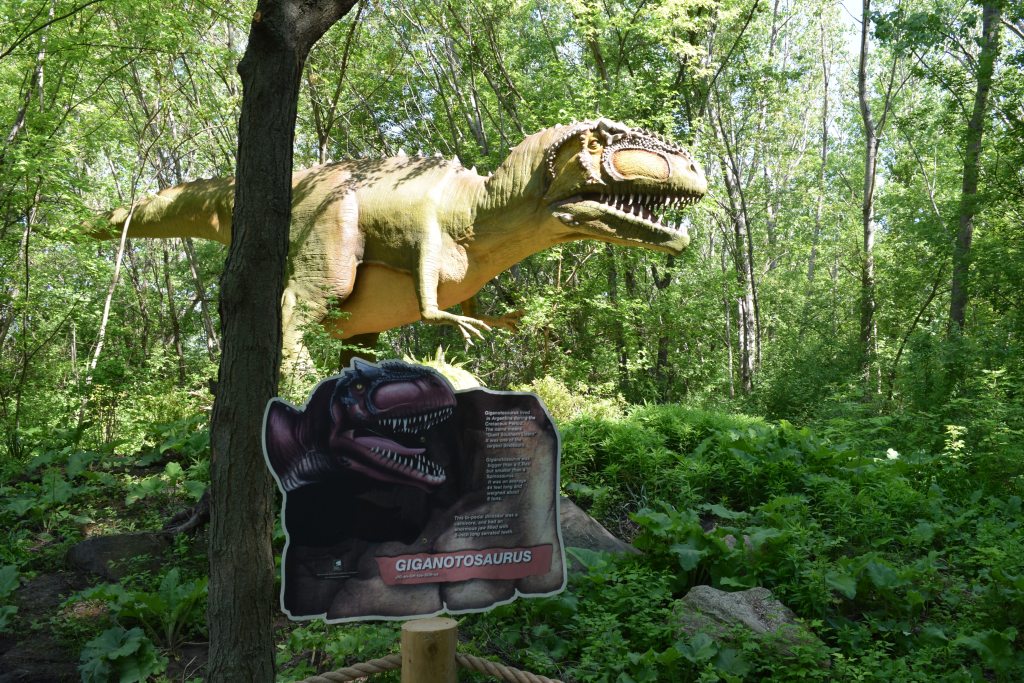 Life-like dinosaur on DinoTrail at Detroit Zool