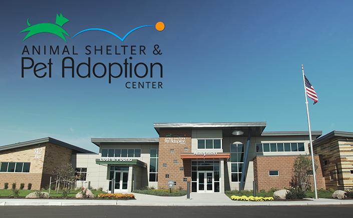 Oakland County Animal Shelter and Pet Adoption Center – Oakland County Blog