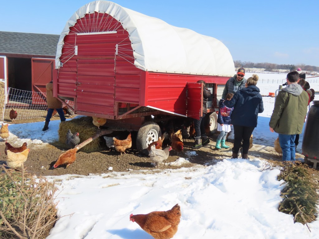 Bowers School Farm Early Bird Tour Oakland County Blog