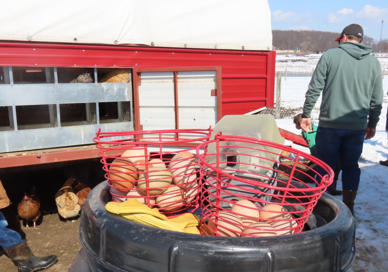 Bowers School Farm Early Bird Tour Oakland County Blog